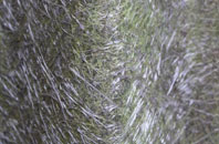 Shingle Street fibreglass roof work